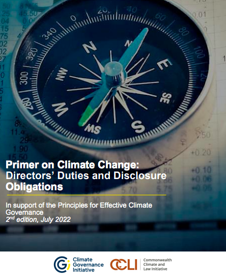 Publication de la deuxième édition du rapport sur l’évolution du paysage juridique en matière climatique, née de la collaboration de la CGI et de la CCLI